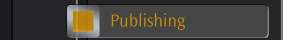 Publishing